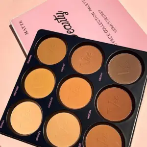 LadyVee Beauty 9 in 1 Powder Palette Matte