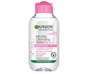 Garnier SkinActive Micellar Cleansing Water |100ml (Packaging may differ)